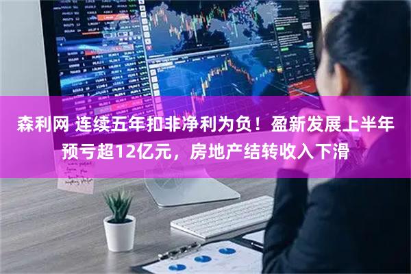 森利网 连续五年扣非净利为负！盈新发展上半年预亏超12亿元，房地产结转收入下滑