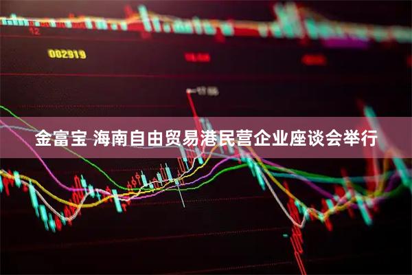金富宝 海南自由贸易港民营企业座谈会举行