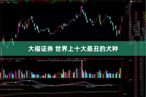 大福证券 世界上十大最丑的犬种