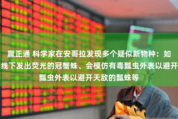 赢正通 科学家在安哥拉发现多个疑似新物种：如一种可在紫外线下发出荧光的冠蟹蛛、会模仿有毒瓢虫外表以避开天敌的瓢蛛等