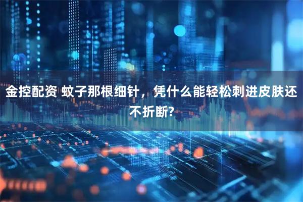 金控配资 蚊子那根细针，凭什么能轻松刺进皮肤还不折断?