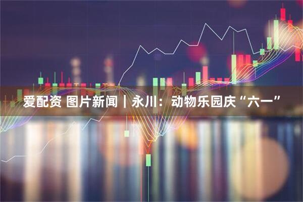 爱配资 图片新闻｜永川：动物乐园庆“六一”
