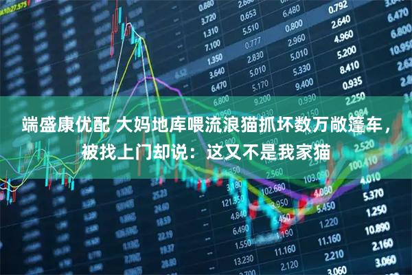 端盛康优配 大妈地库喂流浪猫抓坏数万敞篷车，被找上门却说：这又不是我家猫