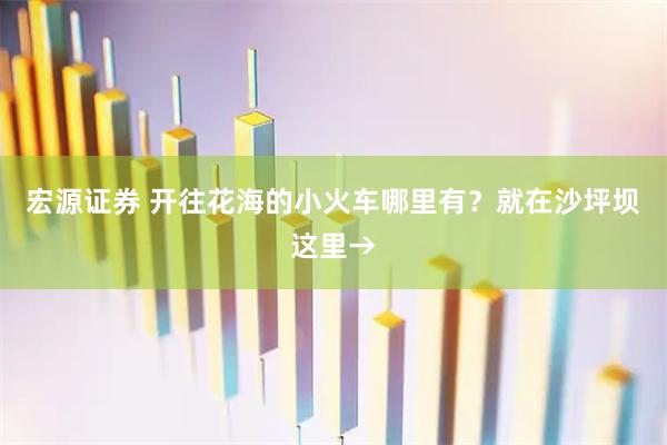 宏源证券 开往花海的小火车哪里有？就在沙坪坝这里→